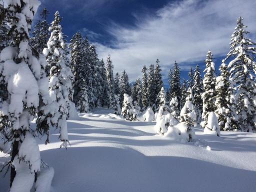 Der Donnerstag in Filzmoos ist einfach nur herrlich