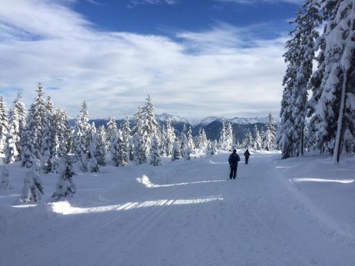 Wandern entlang der Höhenloipe mit Fernblick