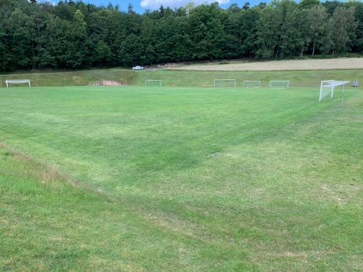 gepflegter grüner Rasenplatz 